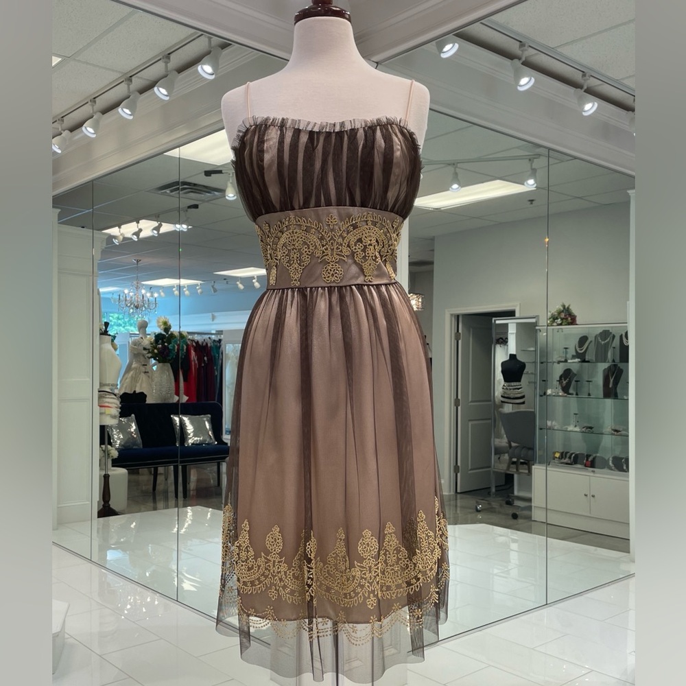 Elegant Brown and Gold Dress